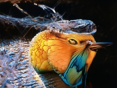 TCL科技，创新的引领者与市场的开拓者，新时代的创新引领者